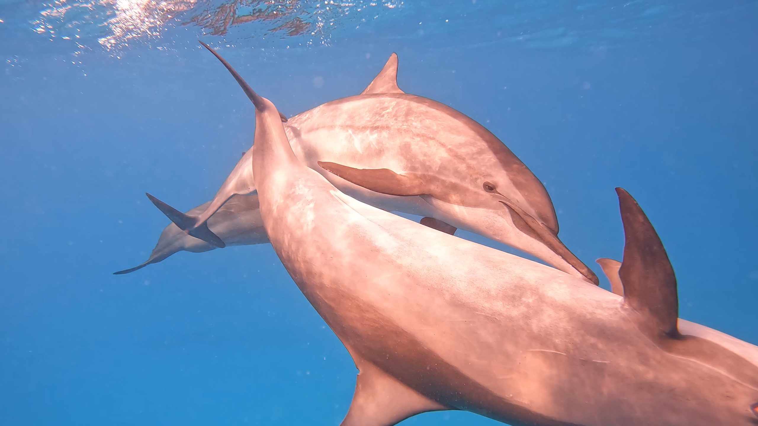 Peaceful Red Sea atmosphere